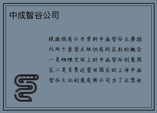 中成智谷公司
